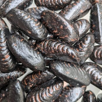 moules praliné la rochelle
